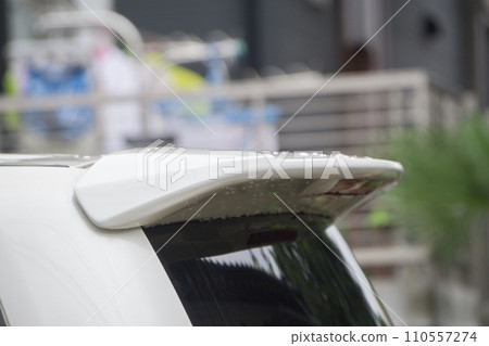 尾門擾流板乘用車 尾門擾流板乘用車 110557274