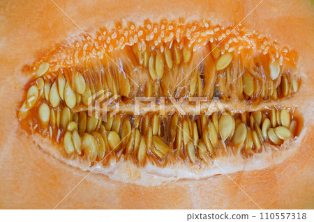 Pumpkin seeds background, cut orange pumpkin Pumpkin seeds background, cut orange pumpkin 110557318