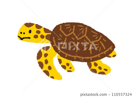 Hand drawn illustration of sea turtle Hand drawn illustration of sea turtle 110557324