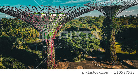 Gardens by the Bay. Beautiful park in Singapore. Gardens by the Bay. Beautiful park in Singapore. 110557533