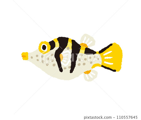 Hand-drawn illustration of striped pufferfish [tropical fish] 110557645