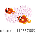 隱藏在海葵中的小丑魚 [熱帶魚] 手繪插圖 110557665