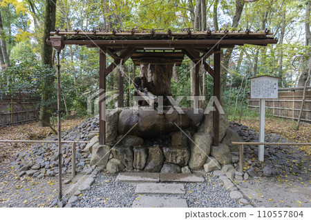 Tarumi of Shimogamo Shrine 110557804