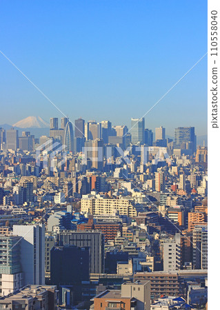 Shinjuku-ku, Tokyo, scenery of Mt. Fuji and Shinjuku subcenter skyscraper district Shinjuku-ku, Tokyo, scenery of Mt. Fuji and Shinjuku subcenter skyscraper district 110558040