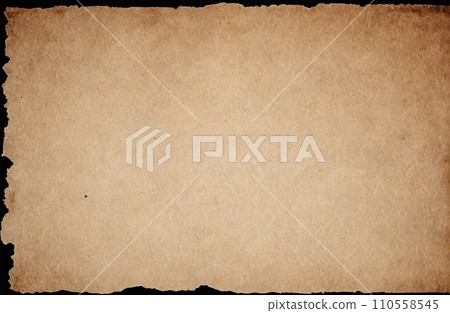 Aged Blank Parchment 110558545