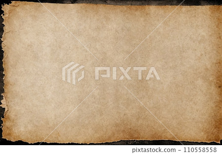 Aged Blank Parchment Aged Blank Parchment 110558558