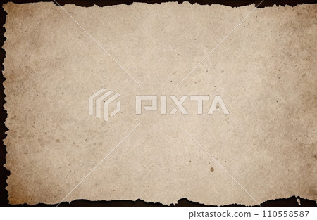 Aged Blank Parchment Aged Blank Parchment 110558587