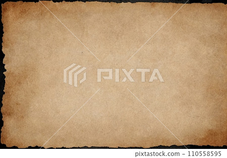 Aged Blank Parchment 110558595