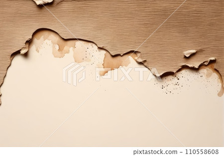 Aged Blank Parchment 110558608