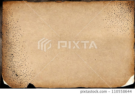 Aged Blank Parchment 110558644