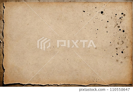 Aged Blank Parchment 110558647