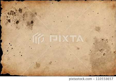Aged Blank Parchment 110558657