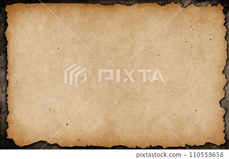 Aged Blank Parchment 110558658