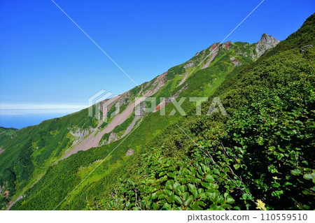 從利尻玖形山頂路線 從利尻玖形山頂路線 110559510