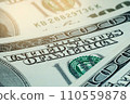 National currency of the USA. American currency. US dollar close-up. 110559878