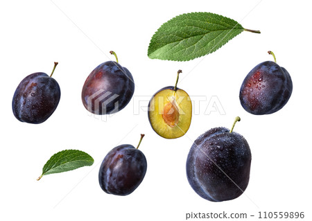 Set of different plum fruits and leaves isolated on white background. Collection of plum fruits for design. Set of different plum fruits and leaves isolated on white background. Collection of plum fruits for design. 110559896
