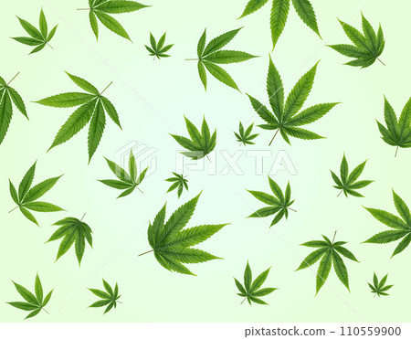 Cannabis leaf background. Hemp pattern on green background. Cannabis leaf background. Hemp pattern on green background. 110559900