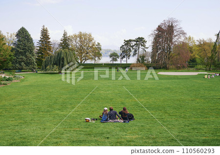 Geneva Botanical Garden, Switzerland. 110560293