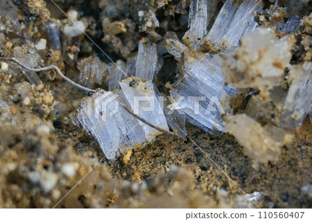 A small pillar of frost formed on the soil in the early morning A small pillar of frost formed on the soil in the early morning 110560407