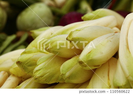 Fresh green endive 110560622