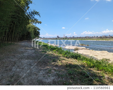 Bamboo forest along the river 110560981
