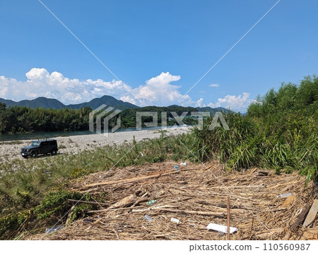 Driftwood accumulated on the riverbank Driftwood accumulated on the riverbank 110560987