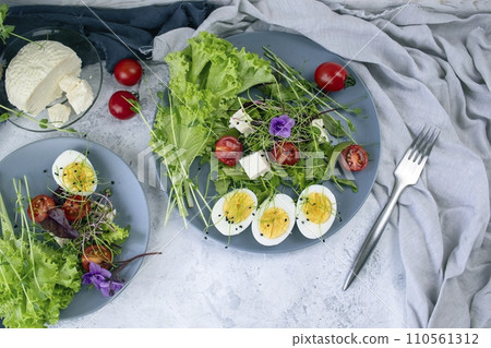 Healthy salad with lettuce, cherry tomatoes, mozzarella cheese and microgreens, on a plate, light background Healthy salad with lettuce, cherry tomatoes, mozzarella cheese and microgreens, on a plate, light background 110561312