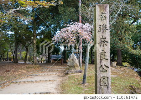 Nara, Japan - April 2, 2023 : Monument at the entrance of Nara Park. Nara, Japan - April 2, 2023 : Monument at the entrance of Nara Park. 110561472