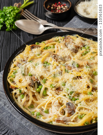 baked chicken tetrazzini in baking dish, top view baked chicken tetrazzini in baking dish, top view 110561683