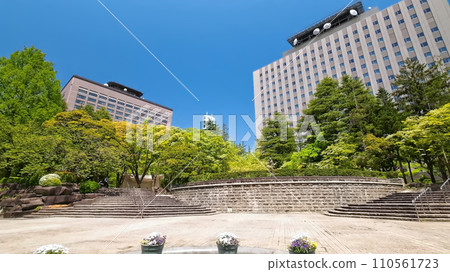 Kotodai Park (Sendai City, Miyagi Prefecture) Kotodai Park (Sendai City, Miyagi Prefecture) 110561723