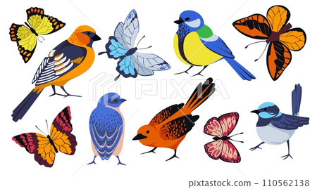 Spring animals. Birds and butterflies. Woodland nature. Wild insects. Flying birdies. Monarch and swallowtail. Lepidoptera bugs. Titmouse or waxwing. Summer colorful creatures vector set 110562138