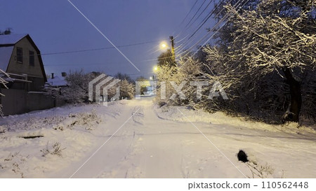 Snowy country road at evening time. Street lamp illuminating snow trail at winter night. Beautiful nature landscape with falling snowflakes at background. 110562448