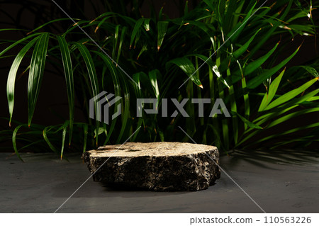 Granite stone with branch green leaf on dark gray background Granite stone with branch green leaf on dark gray background 110563226
