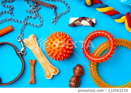 Treats and toys for dogs on blue background close up Treats and toys for dogs on blue background close up 110563239