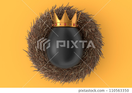 Farm black egg with gold royal king crown in bird nest on yellow background 110563350