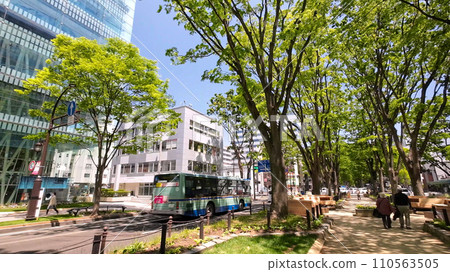 Sendai Jozenji Street (Sendai City, Miyagi Prefecture) 110563505