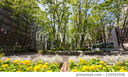 Sendai Jozenji Street (Sendai City, Miyagi Prefecture) 110563506