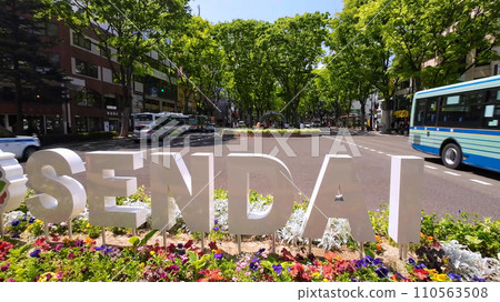 Sendai Jozenji Street (Sendai City, Miyagi Prefecture) Sendai Jozenji Street (Sendai City, Miyagi Prefecture) 110563508