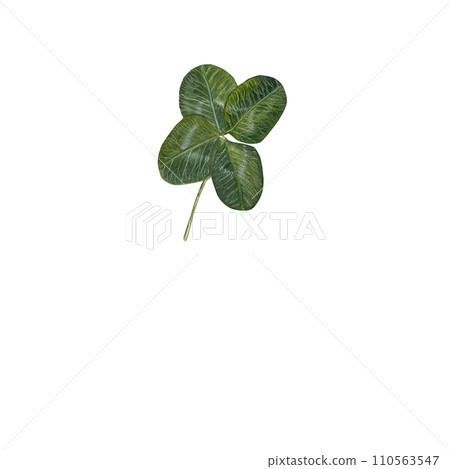 Watercolor clover with four illustratie for postcards, invitation Watercolor clover with four illustratie for postcards, invitation 110563547