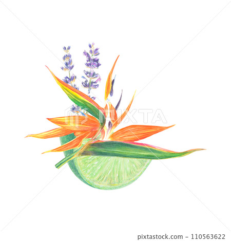 Watercolor composition illustration of Strelitzia, lavender, lime and leaves, tropical flower composition on a white background 110563622