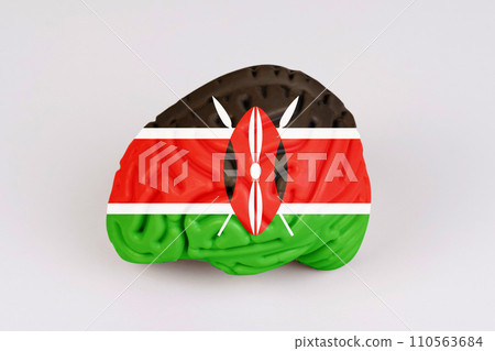 On a white background, a model of the brain with a picture of a flag - Kenya 110563684
