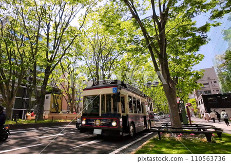Fresh green Sendai Jozenji Street (Sendai City, Miyagi Prefecture) 110563736