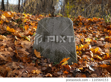 RIP, Rest in Peace text on gravestone, burial stone at old graveyard in autumn RIP, Rest in Peace text on gravestone, burial stone at old graveyard in autumn 110564153