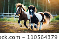 Two young horses running  .ai generated 110564379