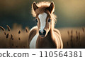 Cute Pony portrait or young horse in nature   .ai generated 110564381