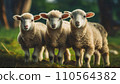 Lambs, young sheep in nature  .ai generated 110564382