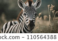 young zebra portrait in nature      .ai generated 110564388