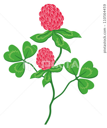 Pink clover with leaves. Bright floral isolated illustration Pink clover with leaves. Bright floral isolated illustration 110564459
