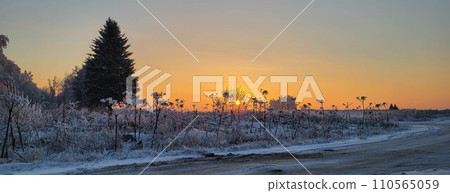 Beautiful winter dawn in a field near the forest Beautiful winter dawn in a field near the forest 110565059