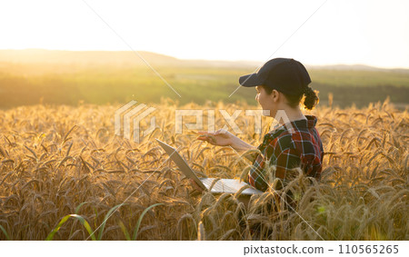 Woman farmer working with laptop on wheat field. Smart farming and digital agriculture Woman farmer working with laptop on wheat field. Smart farming and digital agriculture 110565265